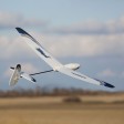 E-Flite UMX WHIPIT BNF-Basic