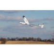 E-Flite UMX WHIPIT BNF-Basic