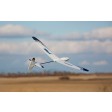 E-Flite UMX WHIPIT BNF-Basic