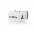 Lunettes vidéo Fatshark Recon