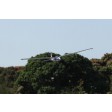 FMS Planeur 1500mm : Let L-13 GLIDER MOA PNP kit