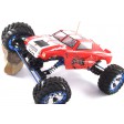 FTX Spyder Crawler 1/10e RTR