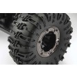 FTX Ravine M.O.A. Rock Buggy Crawle RTR 1/10 4WD/4WS