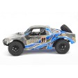 FTX Torro Trophy Truck 4WD RTR 1/10e Nitro Orange