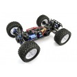 FTX Bugsta Brushless 4WD RTR 1/10e