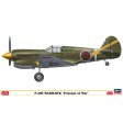 1/48e Hasegawa P-40E Warhawk Prisoner of War "Edition limitée"