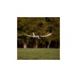 Hobbyzone Firebird Stratos RTF Radio Mode 2