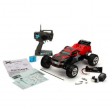 ECX Circuit V2 Stadium Truck Gris Bleu - 2,4GHZ Prêt à rouler