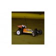 ECX BOOST buggy VERSION 2 en 2,4ghz