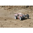 Hobbytech SPIRIT EVO RTR ALPHA 21 TH + Accus RX+Chargeur