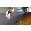 OPALE PARAMODELS Paramoteur ARTF Backpack XXS / OXY 0.5