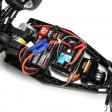 Losi Mini-B Brushed Buggy 2WD 1/16e Noir/Blanc Prête à rouler