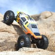 Losi Comp Crawler Race roller 1/10e
