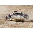 Losi Desert Buggy XL RTR 1/5 4WD + DX2e 