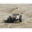 Losi Mini 8IGHT-T RTR Truggy Brushless 1/14