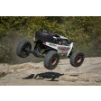 Losi Super Rock Rey RockRacer Raceline 4WD AVC RTR 1/6e