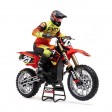 Losi 1/4 Promoto-MX Motorcycle RTR FXR Rouge
