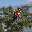 Losi 1/4 Promoto-MX Motorcycle RTR FXR Rouge