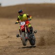 Losi 1/4 Promoto-MX Motorcycle RTR FXR Rouge