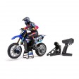 Losi 1/4 Promoto-MX Motorcycle RTR ClubMX Bleu