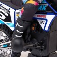 Losi 1/4 Promoto-MX Motorcycle RTR ClubMX Bleu