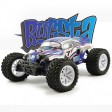 FTX Bugsta 4WD RTR 1/10e