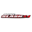 Traxxas Mini Slash 4X4 BL-2S Vert - Prêt à Rouler