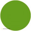 Film Oracover 0,6x2M couleurs standard vert prairie