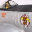 Parkzone P47 thunderbolt PNP