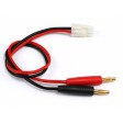 Chargeur SkyRC NiMh eN20 - 20 Watts-3A-AC