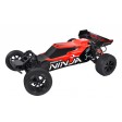 T2m Pirate Ninja RTR 1/10