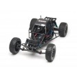 Team Associated SC10B Race-Spec 2WD 1/10th RTR