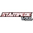 Traxxas Stampede VXL 4x2 1/10e BRUSHLESS RTR - GRIS