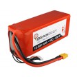 Accu LiPo BRAINERGY 6s1p 22,2V 13000mAh 45C XT60