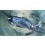 1/32e Hasegawa F6F-3/5 Hellcat