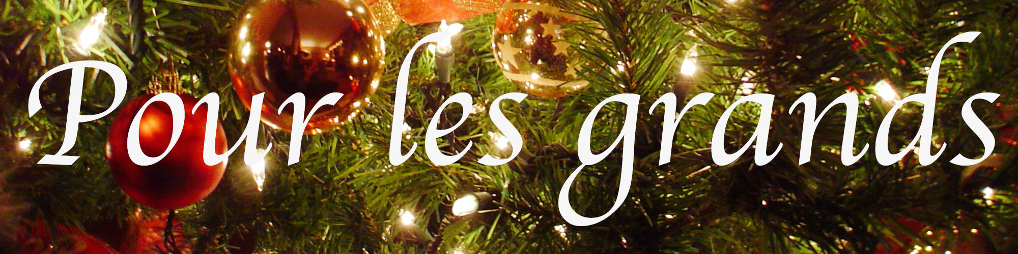 SELECTION DE NOËL POUR LES GRANDS SELECTION DE NOËL POUR LES GRANDS